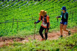 BIB: 
                            <button type="button" onclick="openModal(19164147)" class="btn btn-primary btn-sm float-right btn-popup" data-toggle="modal" data-target=".modal-high-quality">
                        <i class="fas fa-shopping-cart"></i> Add to Cart
                    </button>
                                            <button type="button" onclick="isThisMe(19164147, true)" class="btn btn-success btn-sm float-right btn-popup btn-isme hidden" data-toggle="tooltip" data-placement="bottom" title="นี่คือรูปของคุณใช่ไหม คลิกที่นี่เพื่อเอาเข้าอัลบั้ม">
                        <i class="fas fa-plus"></i> Add to album
                    </button>
                    <button type="button" onclick="isThisMe(19164147, false)" class="btn btn-warning btn-sm float-right btn-popup btn-isnotme hidden">
                        <i class="fas fa-ban"></i> Remove from album
                    </button>